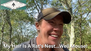 Do Not Stay In Shelters! | Appalachian Trail 2022