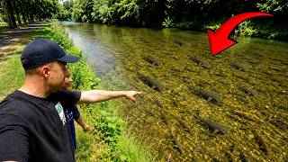 I FOUND THE RIVER SEVERN'S BEST PEG