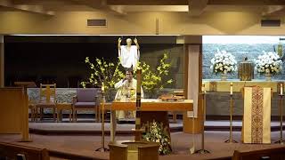 Wednesday 10 AM Mass