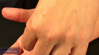 Chongzi (T 22.01), Chongxian (T 22.02) [ESPAÑOL]: Puntos del Maestro Tung, por Chuan-Min Wang