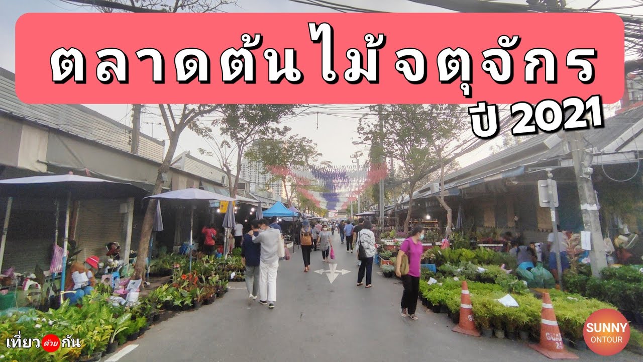 ตลาดต้นไม้​จตุจักร​ ปี 2021 / วัน​อังคาร​-พุธ-พฤหัส / ใกล้ MRT​ - BTS / Jatujak​ Flower​ Market​