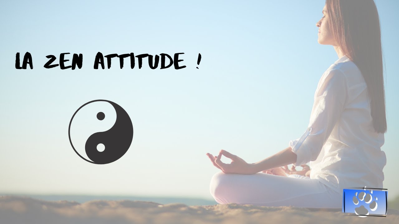 Rester zen avec son chien Live du 30 avril 2020 YouTube