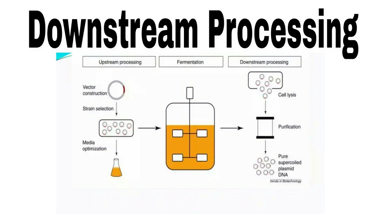 Upstream Processing Flow Chart