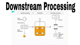 Downstream processing