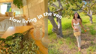what I eat in a day | slow living in the van