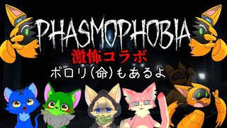 【Phasmophobia】久々のファズモコラボ！ポロリ(命)もあるよ♡【コラボ配信】