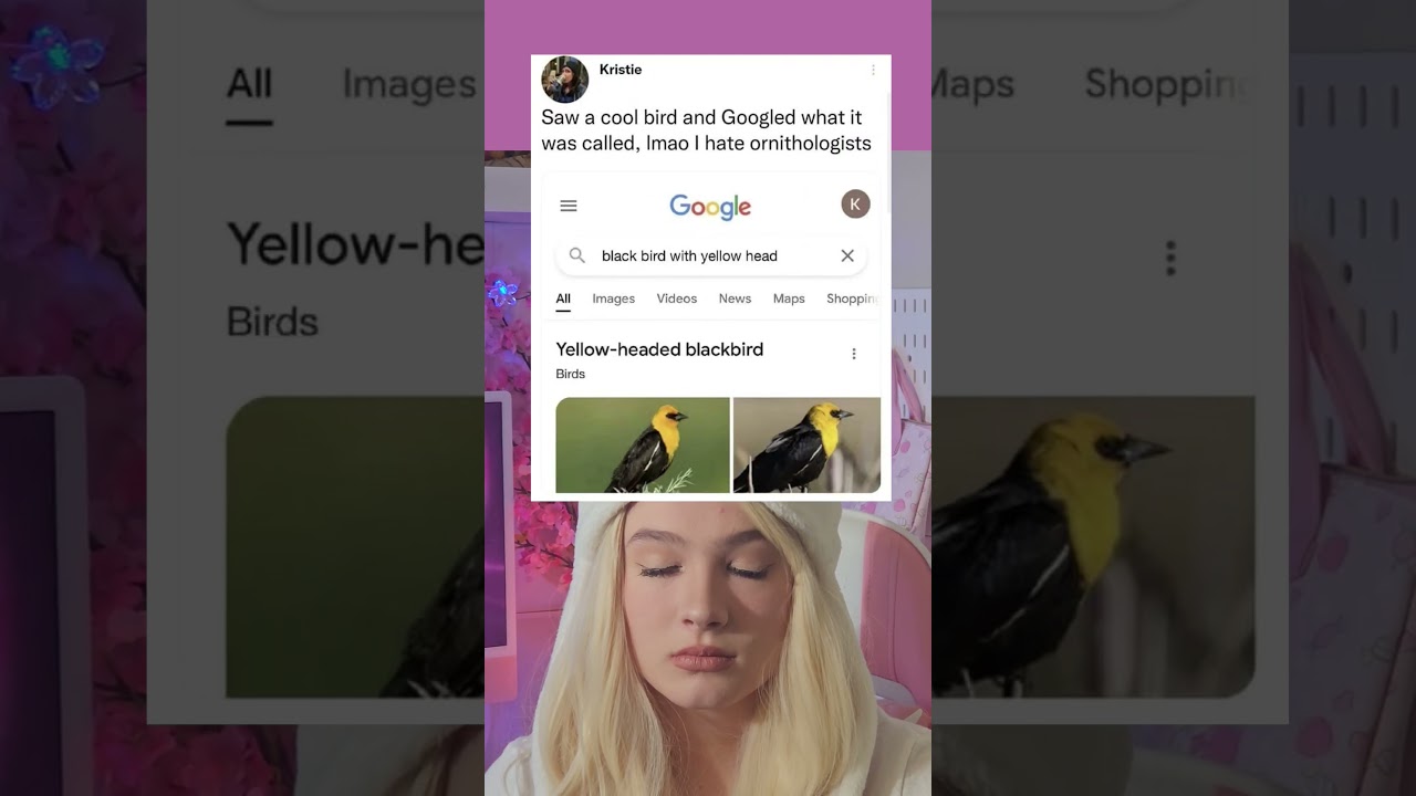 Saw a cool bird and googled what it was 