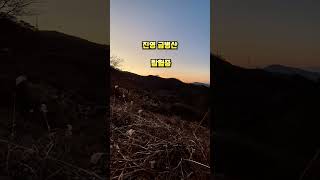 금병산 영상