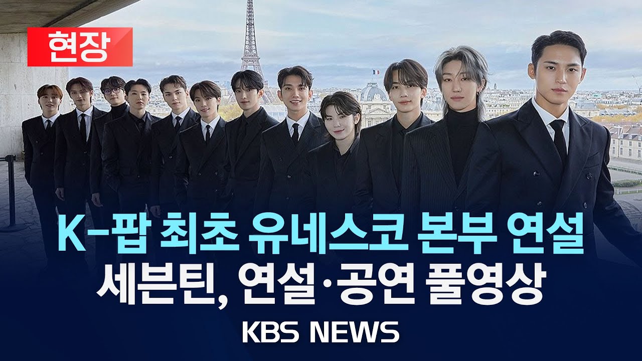 세븐틴 유네스코 본부 연설 - 국내보수 마이너 갤러리