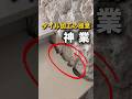タイル職人の神業カットと貼り付けの極意