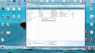 How to run pascalsworld 508 client