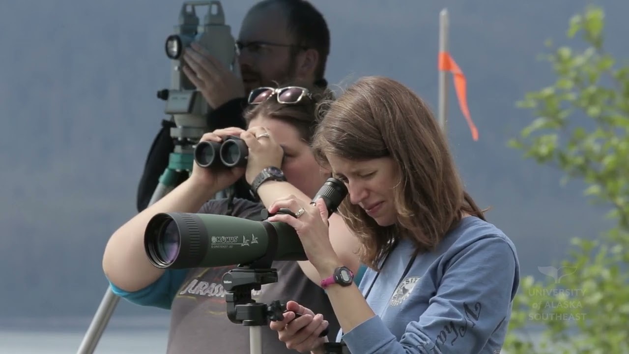 Study Marine Biology at the University of Alaska Southeast