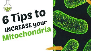 Increase Mitochondria Function - An Undervalued Running Tool