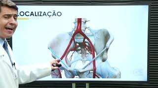 Anatomia Humana - Ramos da Artéria Ilíaca Externa e Femoral - Prof. Emílio Siqueira - Vídeo 01