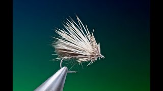 Fly Tying the Harvester Caddis with Barry Ord Clarke