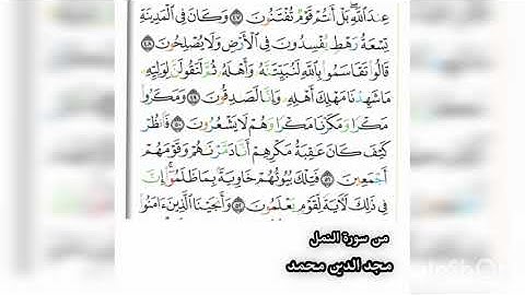 سورة النمل _ من ٤٨ الى ٥١