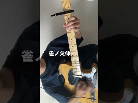 雀ノ欠伸　saucy dog弾いてみた。#saucydog #guitar #弾いてみた