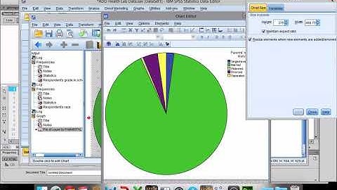 Pie Charts Bar Graphs and Histograms in SPSS