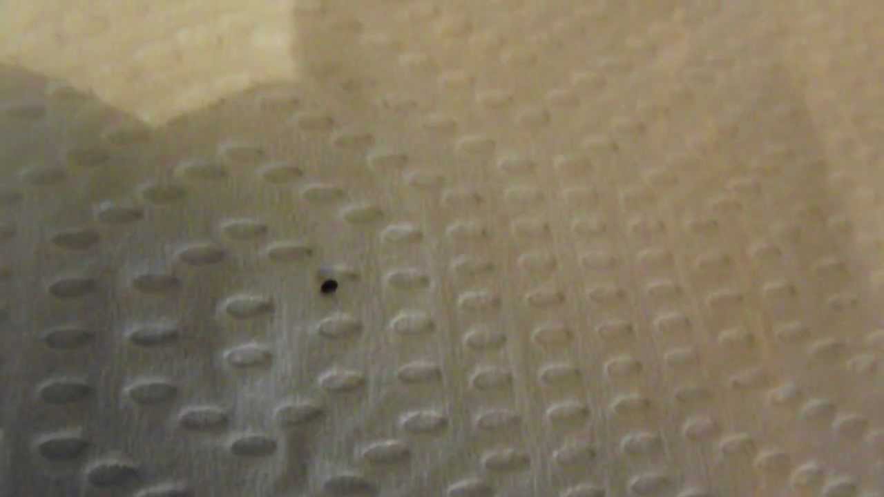 camera iphone 8 plus apk Mite on Papertowel.