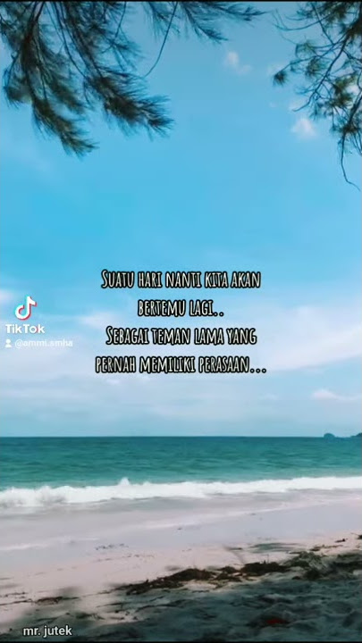 STORY WA TERBARU JERA••α✨