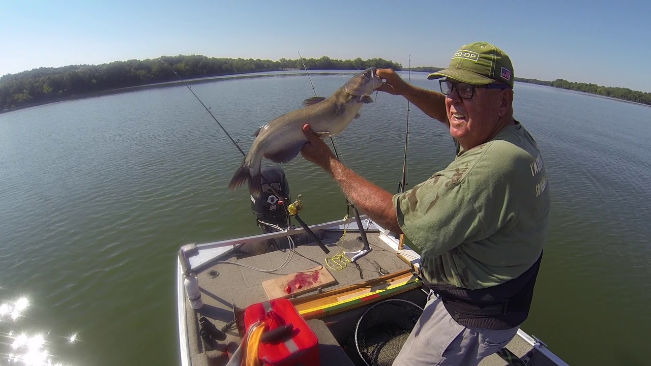 July 15, 2020 fishing on Percy Priest Lake - YouTube