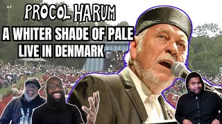 Procol Harum - 'A Whiter Shade of Pale' Reaction! by THIS IS IT Reactions 17,653 views 2 days ago 16 minutes