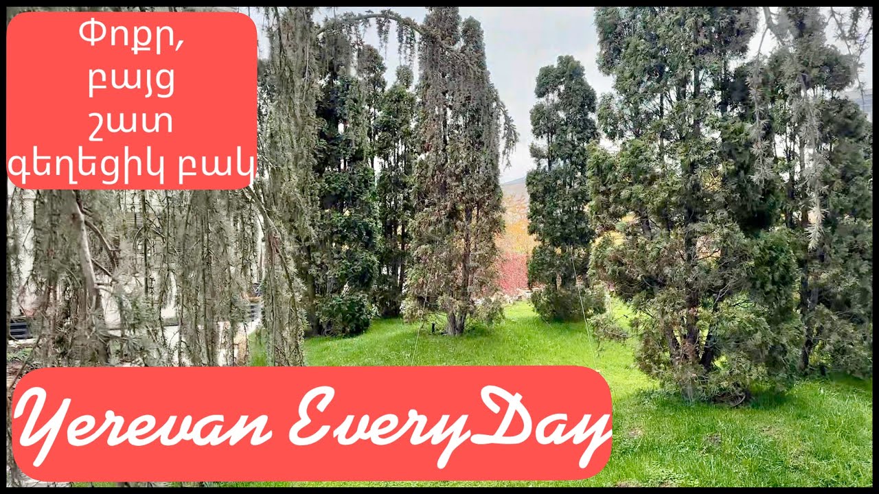 17.11.25, Mo. Կին, որը ստեղծում է Դրախտ: (Մամիկոնյանցից -  Մալխասյանց):