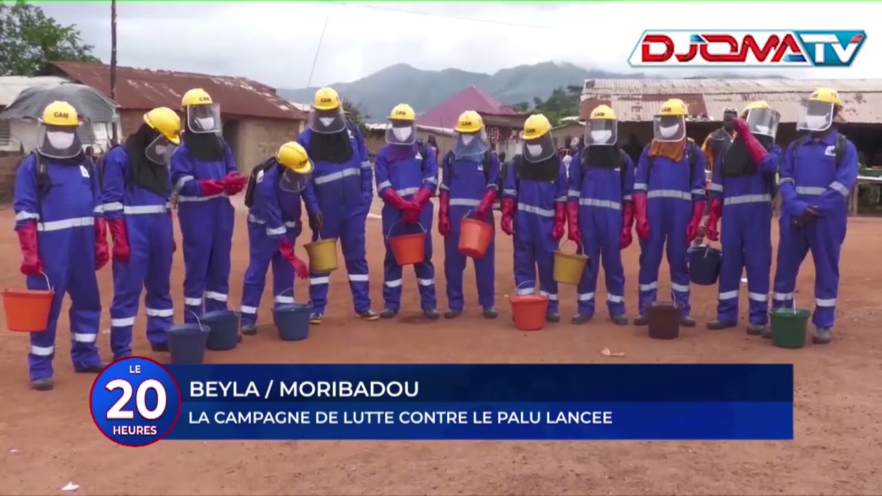 🔴 La campagne de lutte contre le palu lancée à Beyla