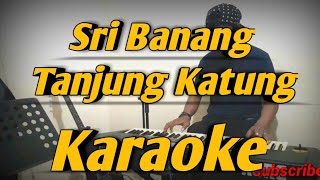 Sri Banang & Tanjung Katung Karaoke Saipul Amri Versi Korg PA600