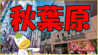 【雑談配信】週刊ゆにこん #89「秋葉原」【Vtuber / #ゆにこん 】