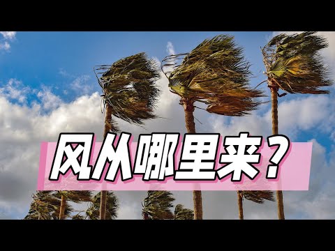 风从哪里来？揭秘风的奥秘 #教育 #科普 #科普知识 #自然奥秘 #十万个为什么
