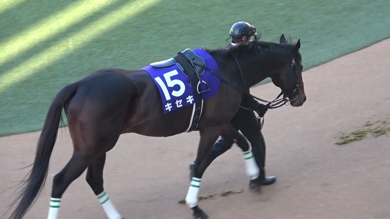 引退レース 第66回 有馬記念 GⅠ【キセキ】 ミニゼッケン ゼッケン