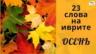 23 слова на иврите | ОСЕНЬ, ДОЖДЬ, ВЕТЕР иврит | Изучение иврита 23 слова на иврите | ОСЕНЬ, ДОЖДЬ, ВЕТЕР иврит | Изучение иврита