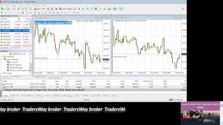 Live Trading on Tradersway Broker Forex with #kouleefx