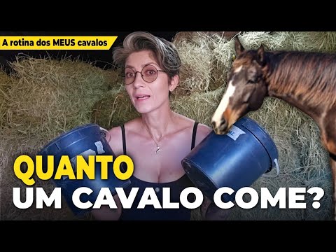 QUANTO UM CAVALO COME POR DIA? DESCUBRA O CUSTO!