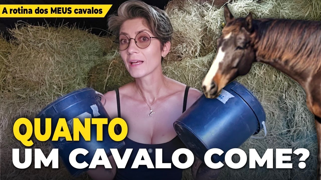 Quanto um cavalo COME por dia? (e quanto isso CUSTA!)