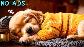 15 STUNDEN Beruhigende Musik für Hunde 🐶💖 Ruhige Schlaftherapie 🎵 Stressabbau &amp; Trost für Hunde