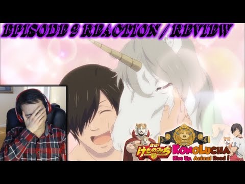 Todos Episódios de Hataage! Kemono Michi Assistir e Baixar