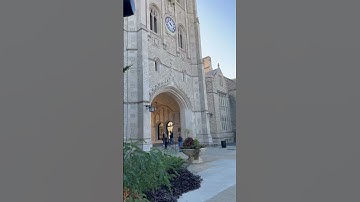 Beautiful university of Missouri campus in Columbia| Mizzou| Tigers |  black and gold| Walk| USA