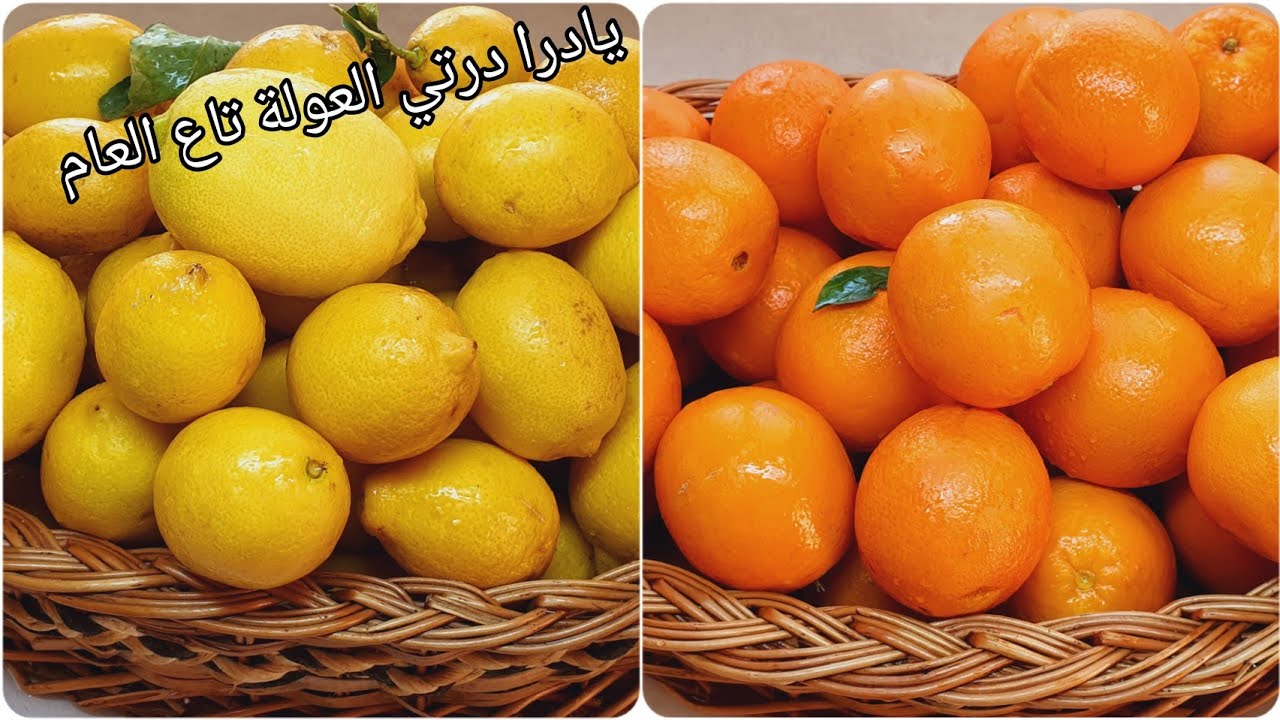 #تحضيرات_رمضان 2024 #مركز البرتقال🍊 والليمون🍋 اساس كل العصائر بلا كثرة لقراعي👌يقعد حتى سنتين مضمون✅️