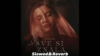 Relja - Sve si znala (Slowed & Reverb)