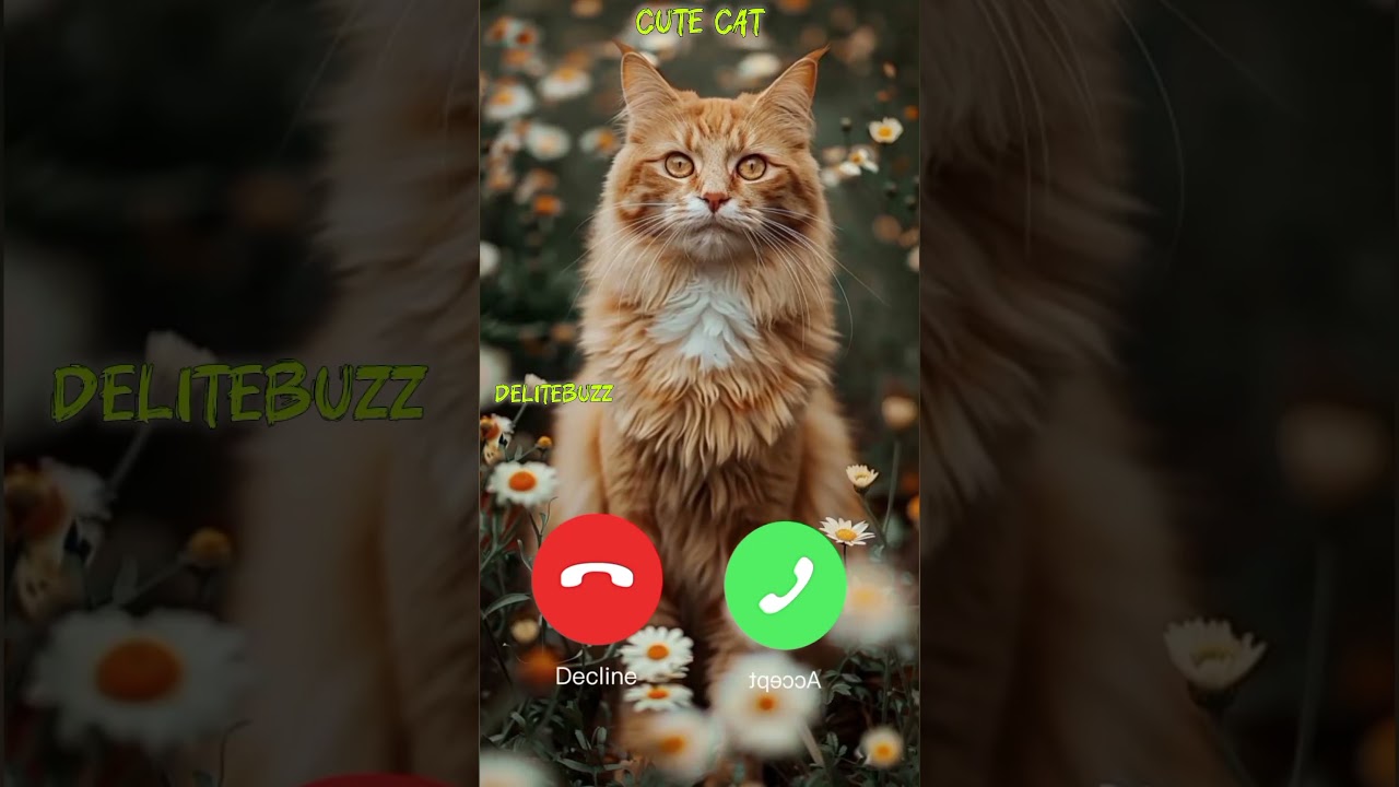 Cute cat calling