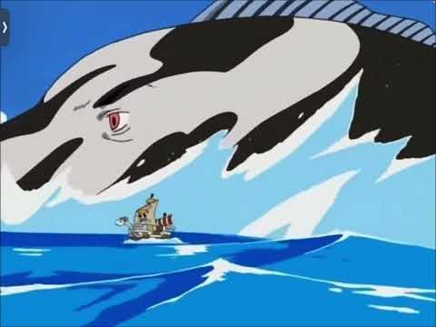 One piece x Coems 🤑