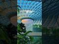 What to see at Changi Airport | Rain Vortex Singapore | Tallest indoor waterfall