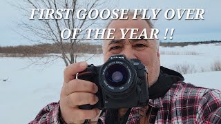 NIKON D500/ SIGMA 28-80MM ASPHIRICAL ZOOM MACRO RESULTS - YouTube