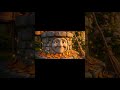 Decorating the well #animatedstory #bedtimestories #kidsstory
