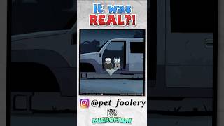 I Think We All Owe Randal an Apology | FULL VIDEO IN LINK
How this young pup went from a mangy stray to part of a family.
Join this channel for just $0.99 to get Exclusive Access:
https://www.youtube.com/channel/UC059QhhyEvyltnAU4vGSbjw/join
Comic by Pet Foolery
If you liked it, go check them out and follow them!
https://www.instagram.com/pet_foolery
Cast:
Brian Jeffords
- Twitter @BPJeffords
Bell Heart
- Twitter @bellbellbell51
SJ Harris
- Twitter @SJHarrisactor
Directing, Sound and Editing by Reece Cowan
- Twitter @ReeceCowanVA I Think We All Owe Randal an Apology | FULL VIDEO IN LINK