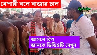 হযরতপুর হাটে মাঝারি সাইজের শাহীওয়াল গরুগুলোর দাম কেমন যাচ্ছে দেখুন | hazratpur cow haat by Bayezid Moral 1,100 views 6 days ago 11 minutes, 10 seconds