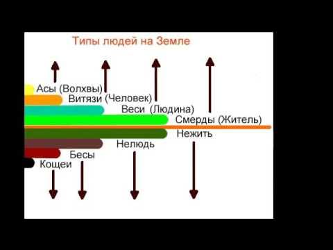 Человек в костюме на белом фоне. Человек людь. Жить нежить людина человек ас. Человек людь. Консультант мужчина.