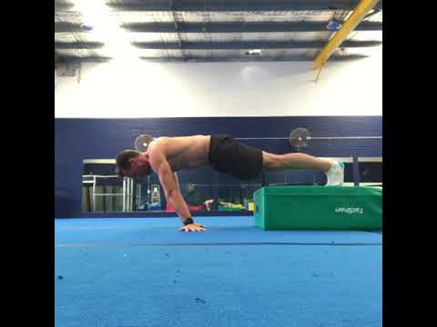 Planche slide, pushup & compression Set